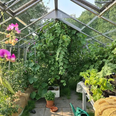 Hyggelig M Have Taet Pa Soerne דירה סילקבורג